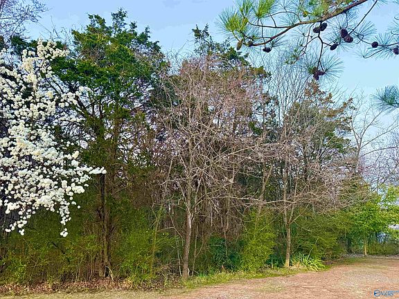 2nd image of 902 Whispering Pines Trl SW