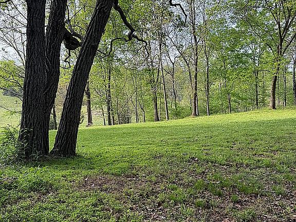 5th image of 460 Raleigh Wilson Rd