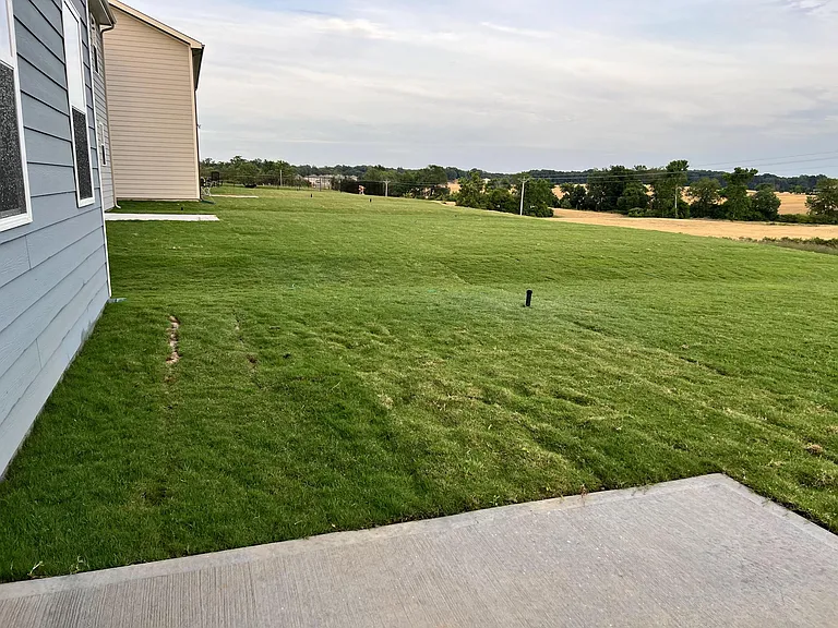 Back side view of yard