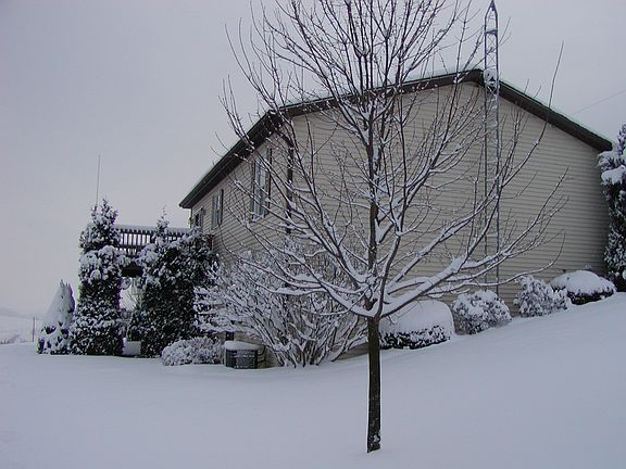 Fresh Winter Snow