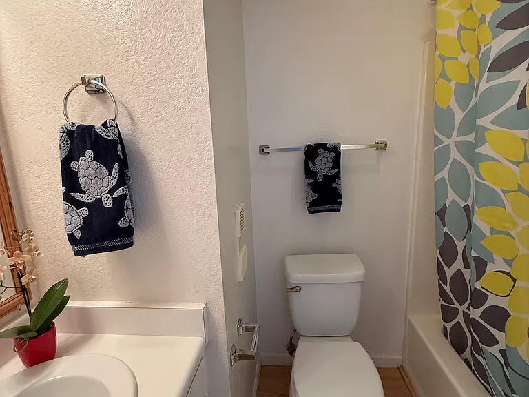 Downstairs bathroom