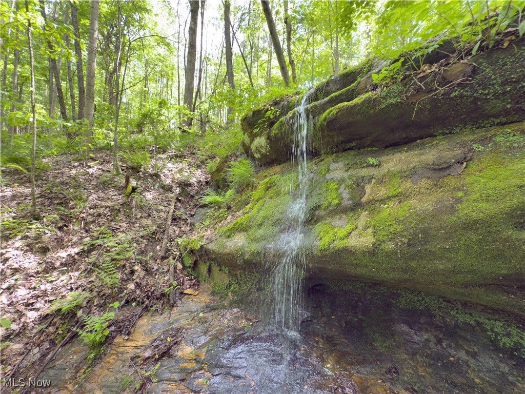 Real estate listing image
