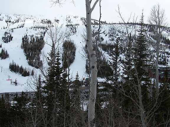 4th image of 251 W Eagles Roost St