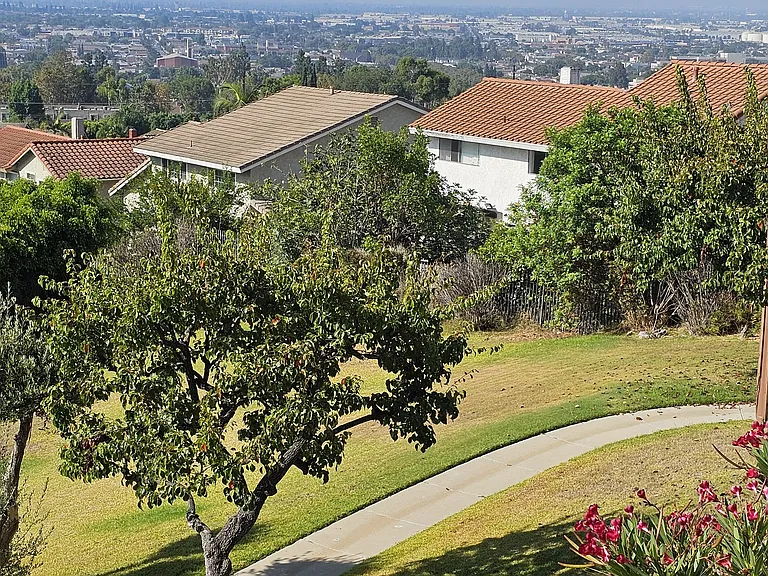 832 Adelita St — Photo 42