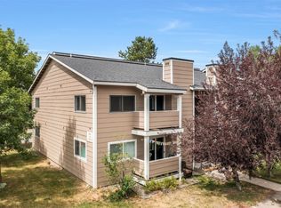 1385 Sparta Plz UNIT 3, Steamboat Springs, CO 80487
