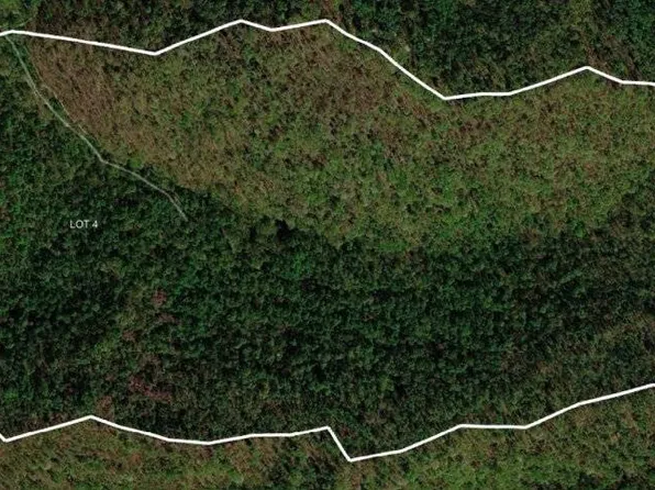 0 Easter Hollow Rd, Ridgeview, WV 25169