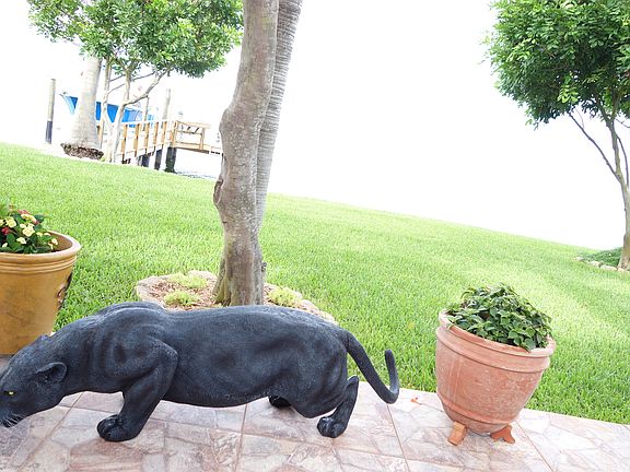 Patio view to BAY