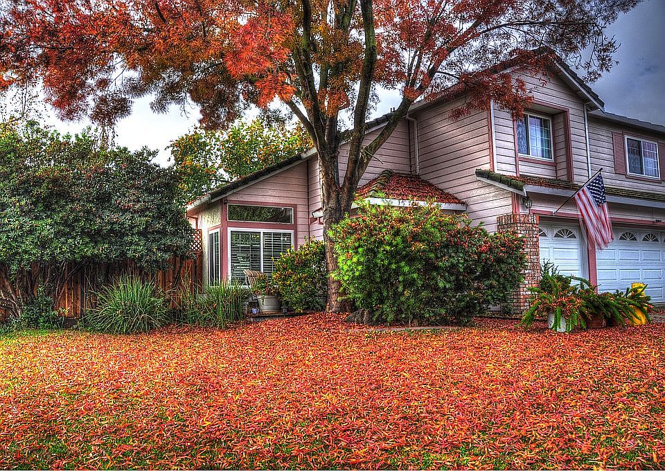 1st image of 920 Jericho Ct