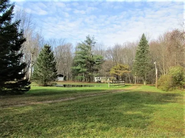 3931 Applegate Rd, Applegate, MI 48401