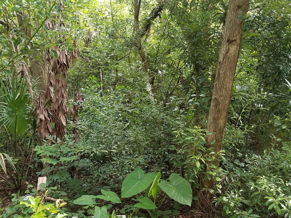Rear of property slopes to l
