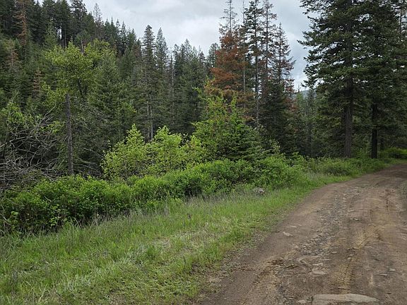 4th image of 727 Blake Creek Rd