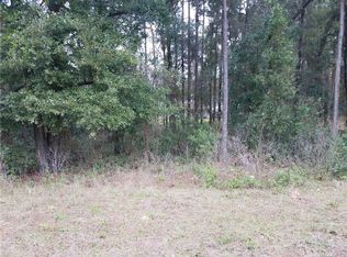 3691 S Ventura Ave, Inverness, FL 34452