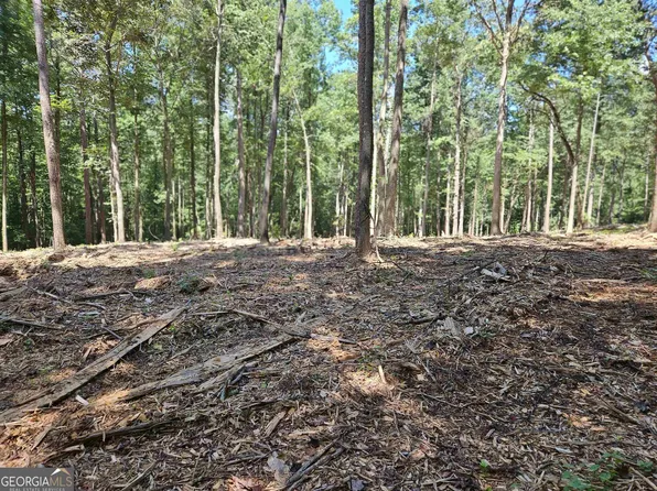 0 Whitetail Rdg Tract 1, Dawsonville, GA 30534
