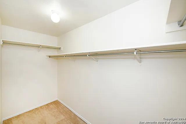 16134 Branching Oaks — Photo 16