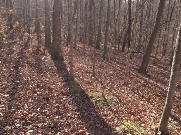 LOT 118 Hiwassee View Dr, Jacksboro, TN 37757