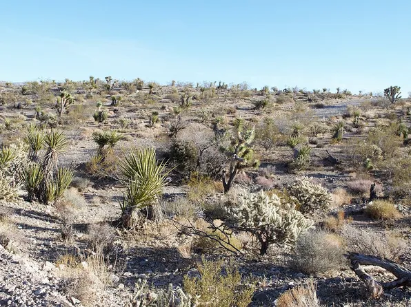 1870 W Guardian Dr, Meadview, AZ 86444