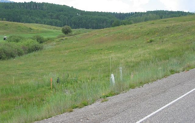 2nd image of 156 Adams Ranch Rd