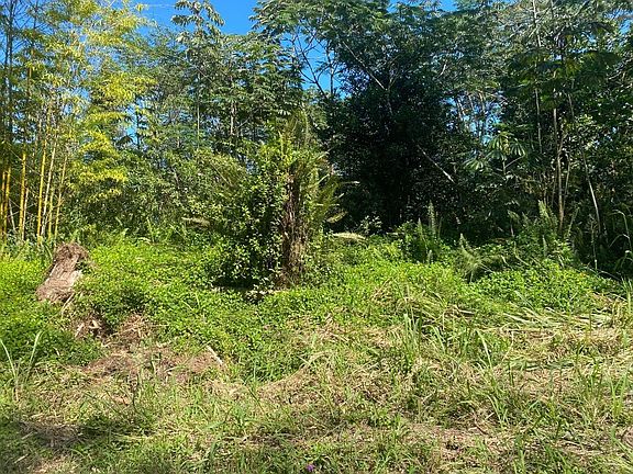 5th image of 8th Avenue Kahili Lot 1041