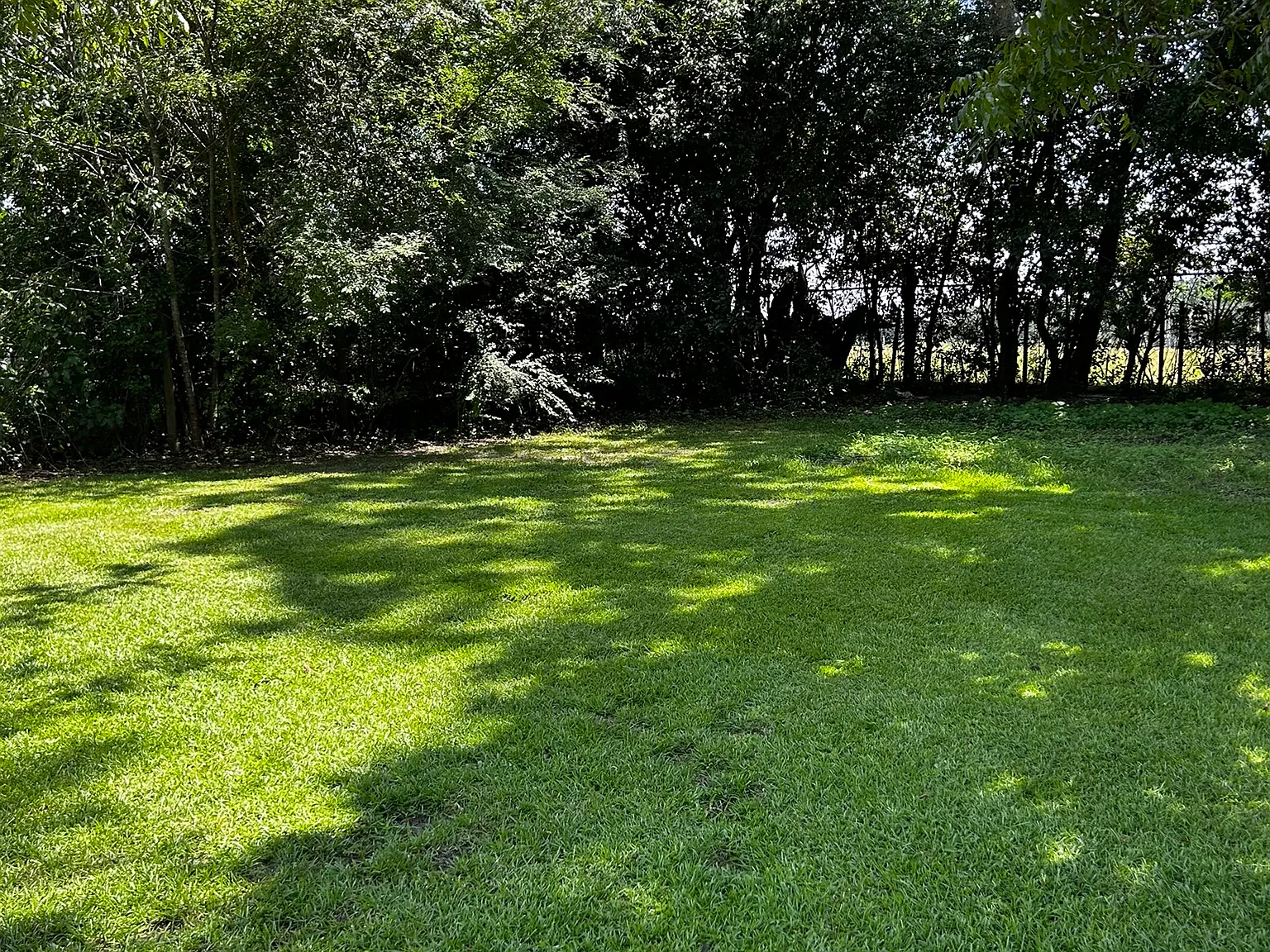 2 bed, 900 sqft, $1,050 — Photo 3