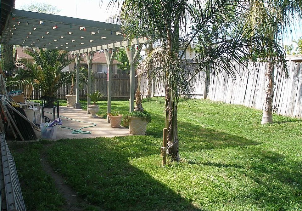 Backyard with lots of Qween Palms