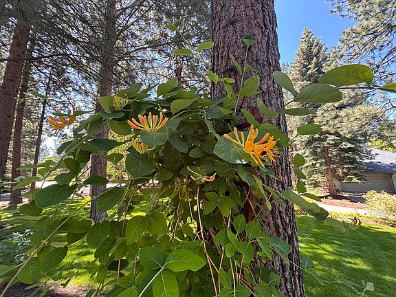 4th image of 60730 Breckenridge
