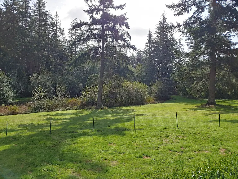 925 Classic Rd — Photo 28