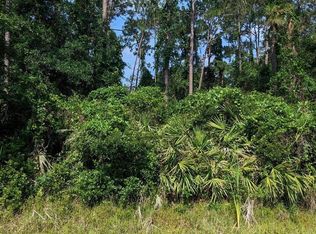 0 Roddy Rd, Palatka, FL 32177