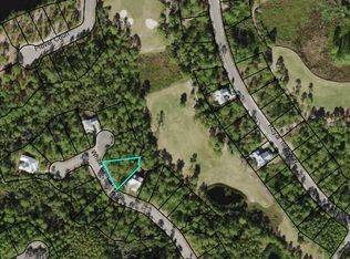 155 White Pelican Ct, Carrabelle, FL 32322