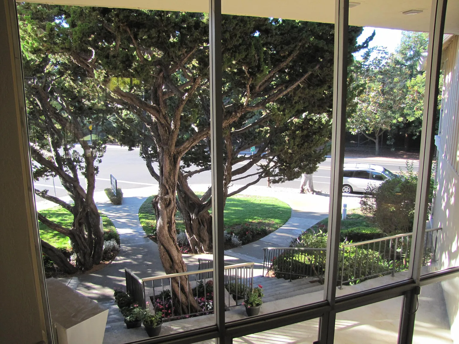 1 bed, 819 sqft, $3,595 — Photo 2