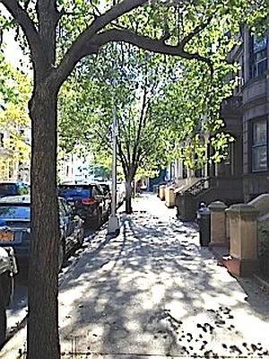 Rented by A D Shaye Realty Group  | media 21