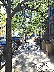 Rented by A D Shaye Realty Group 