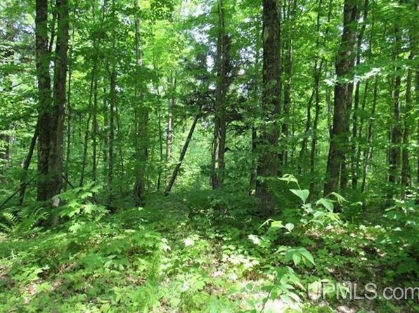 Northwood Hill Rd, Lanse, MI 49946