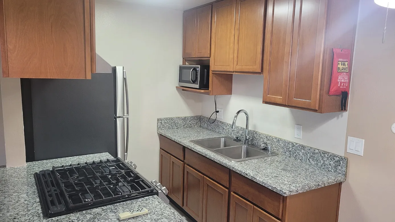 1 bed, $1,295 — Photo 2