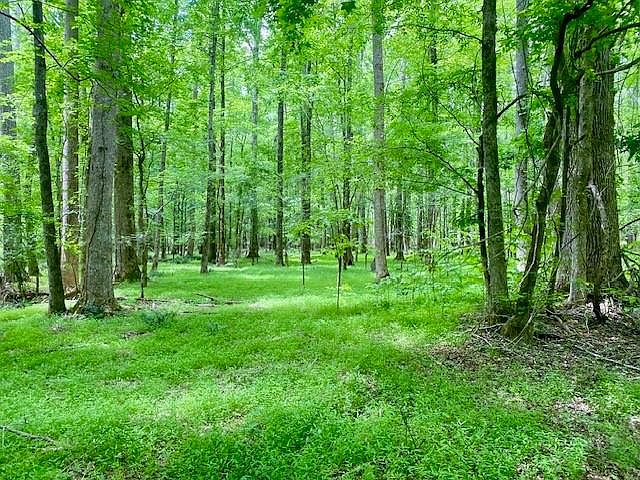 1st image of 0 Pete Johnson Rd
