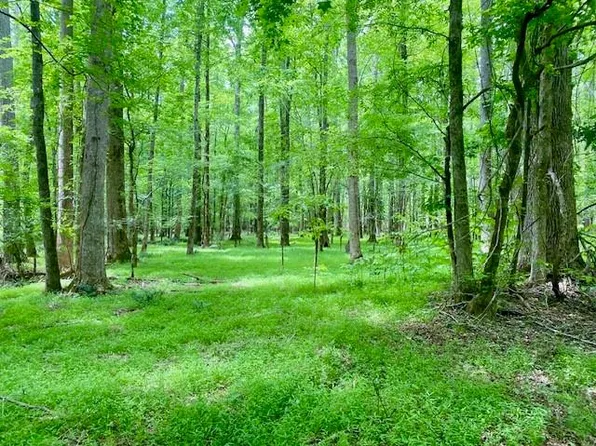 0 Pete Johnson Rd, Tignall, GA 30668