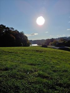 0 Cow Poke Ln Lot 52, Rutledge, TN, 37861