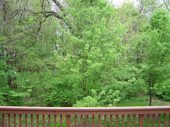 Deck view