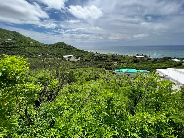 72 South Grapetree EB, St. Croix, VI 00820