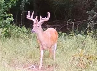 0 Abbeville Hwy, Pineview, GA 31071