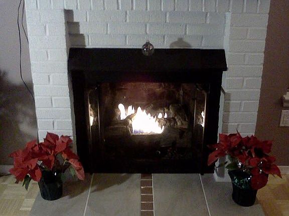 gas fireplace - dining room