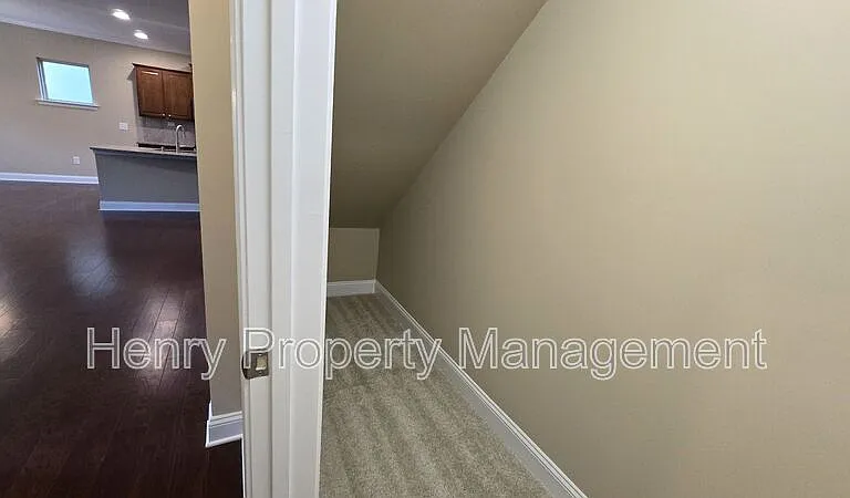 1005 Magnolia Leaf Ct — Photo 14