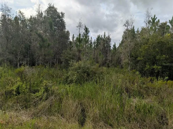 Meadowlark Blvd Lot 50, Indian Lake Estates, FL 33855