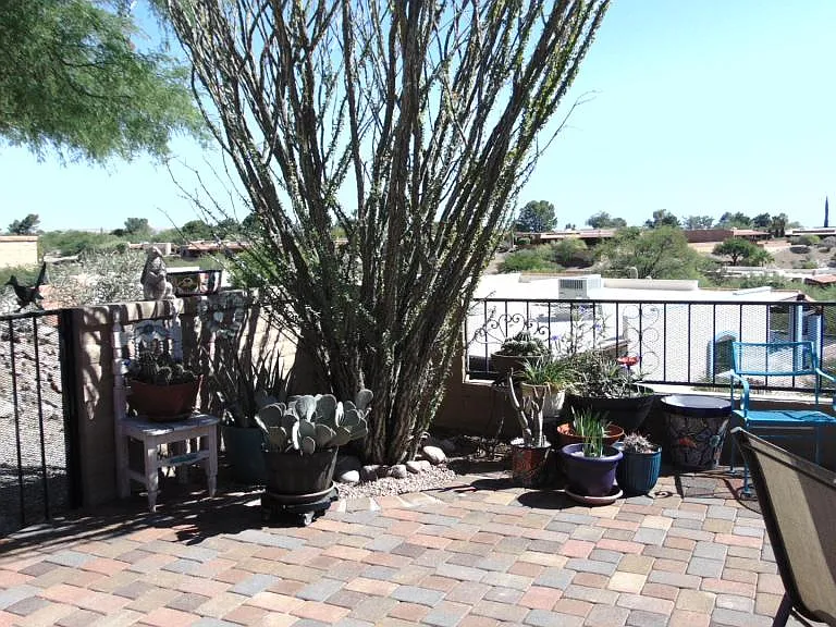 1098 W Camino Sagasta — Photo 38