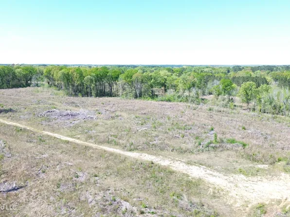 Pettey Rd, Forest, MS 39074