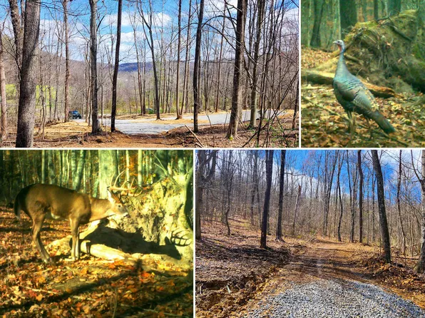 0 Pike Lake Rd Tract 1, Bainbridge, OH 45612