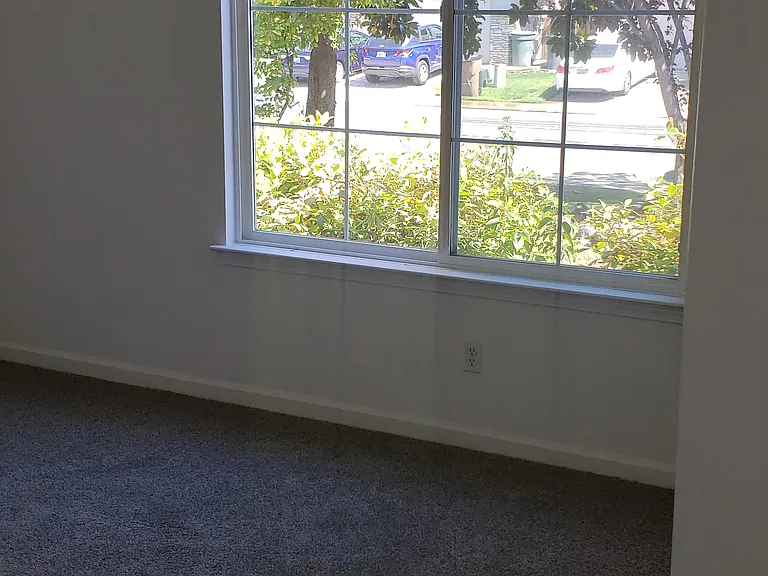 2271 Celtic Dr — Photo 10