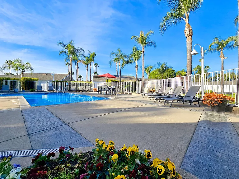 Citrus Court Apartments — Photo 41