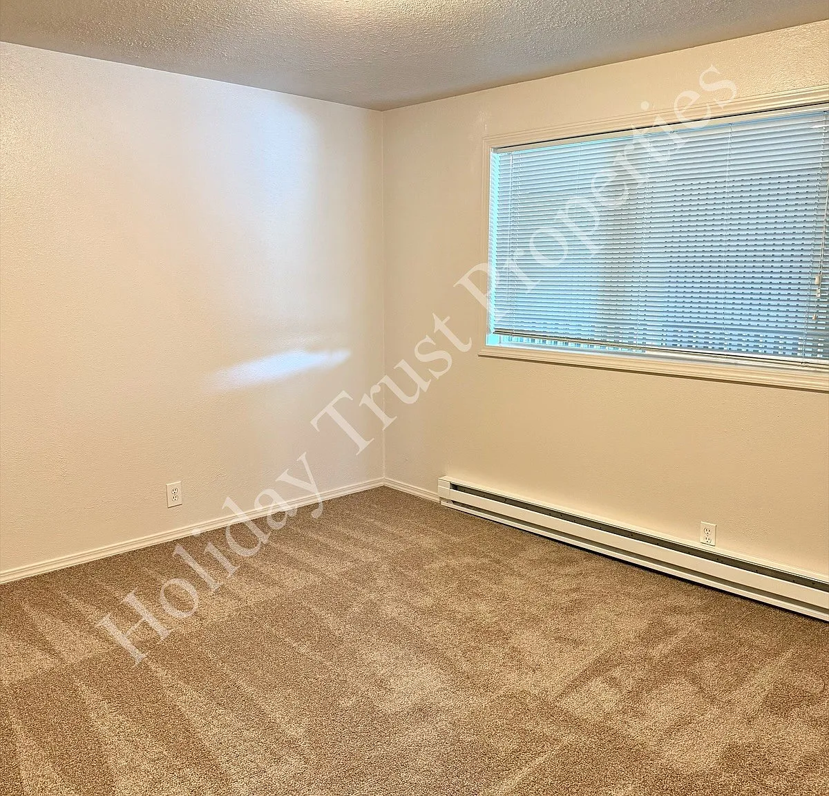 301 Lee St — Photo 4