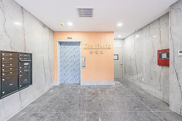 Placid 45 Condominium at 811 45th Street in Sunset Park