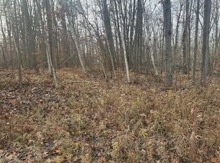 W Shore Dr, Weidman, MI 48893